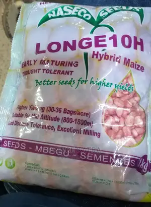 Hybrid Maize:Longe 10h