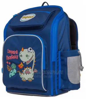 School Bags 5 Years in Use