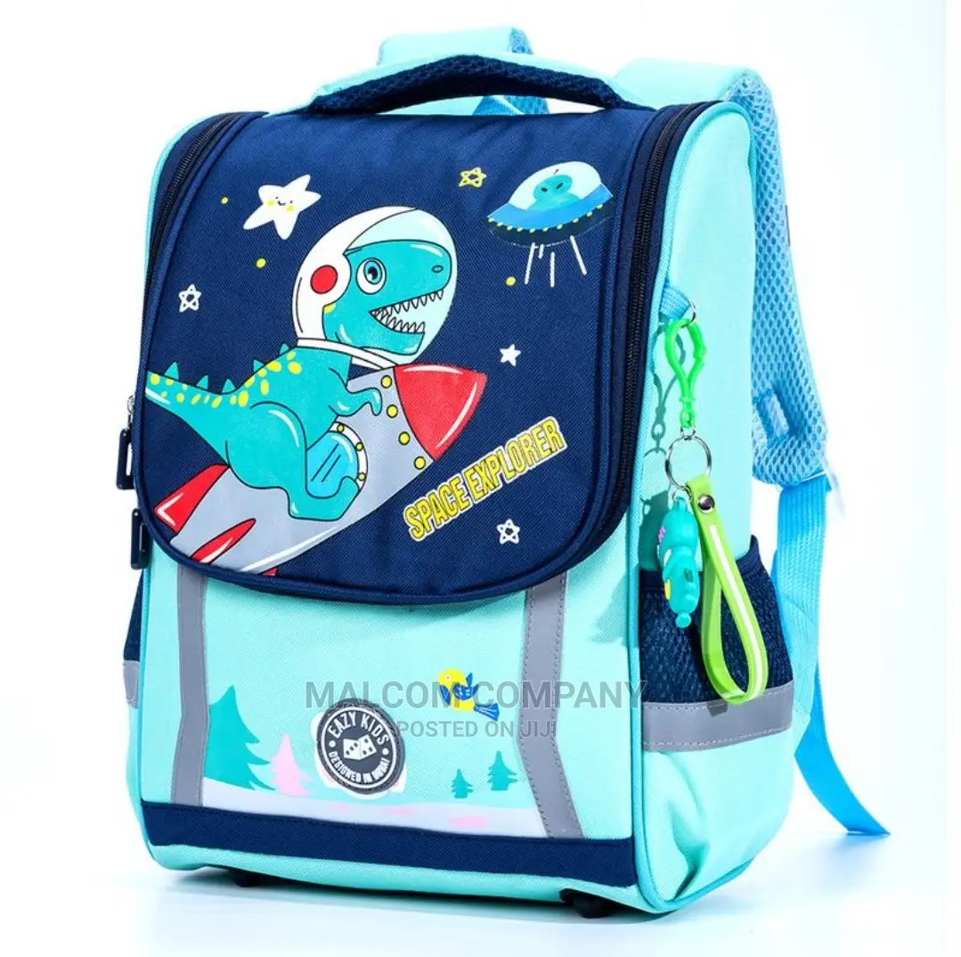School Bags 5 Years in Use