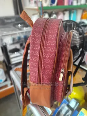 Classy Back Bag