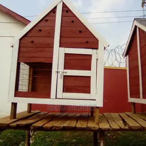 White House Dog House