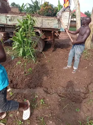 Good Black Soil
