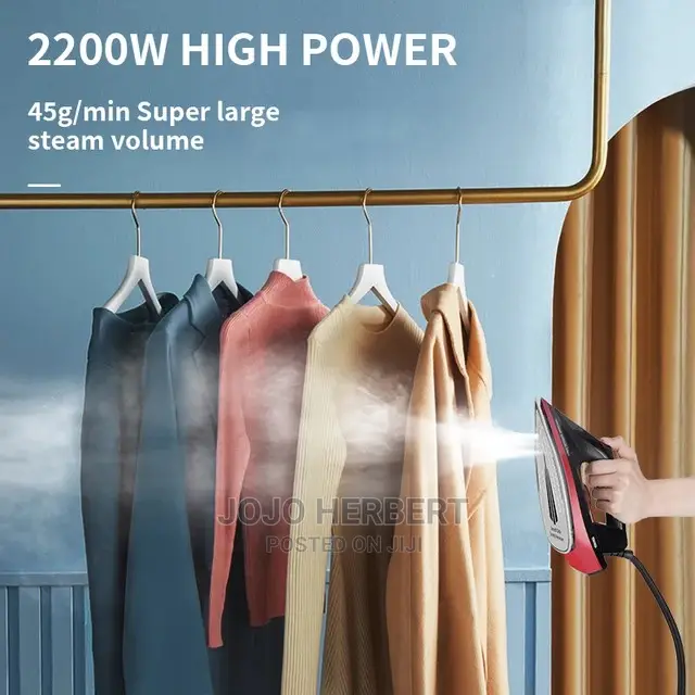 Professional Steam Iron