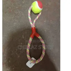 Dogs Chewing Rope.