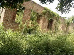Plot With Rooms/Hostels for Sale at Ku Main Branch Luweero