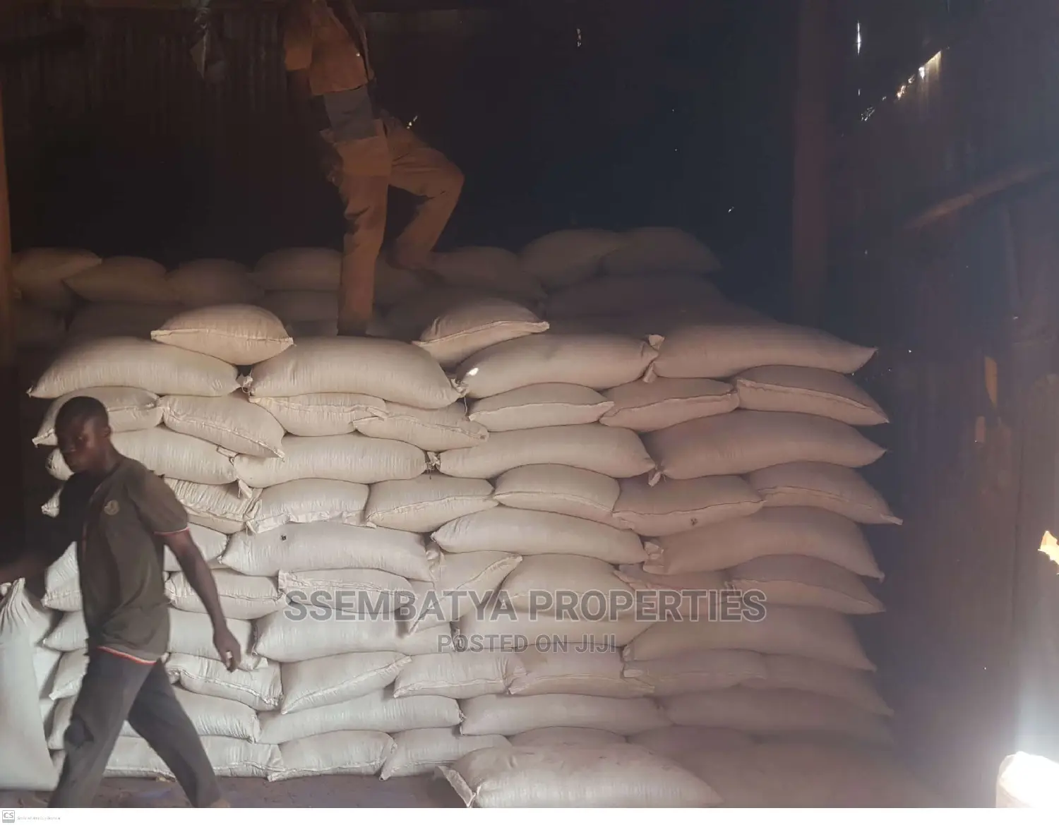 Maize Flour