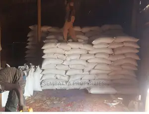 Maize Flour