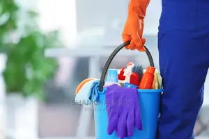 Jr Cleaning Services