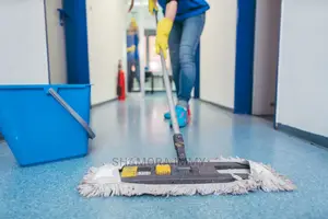 Jr Cleaning Services