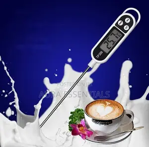 Digital Food Thermometer