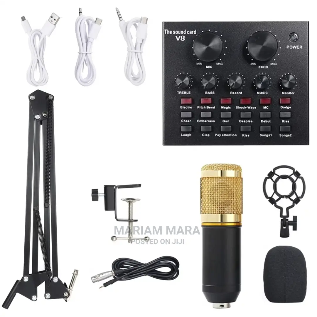 Condenser Microphone