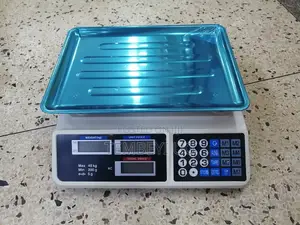 Price Computing Weighing Scale 40kg Rechargeable