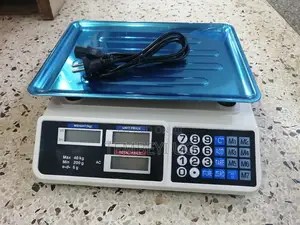 Price Computing Weighing Scale 40kg Rechargeable