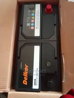 Din100 Delkor Batteries