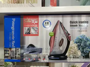 DSP Steam Iron