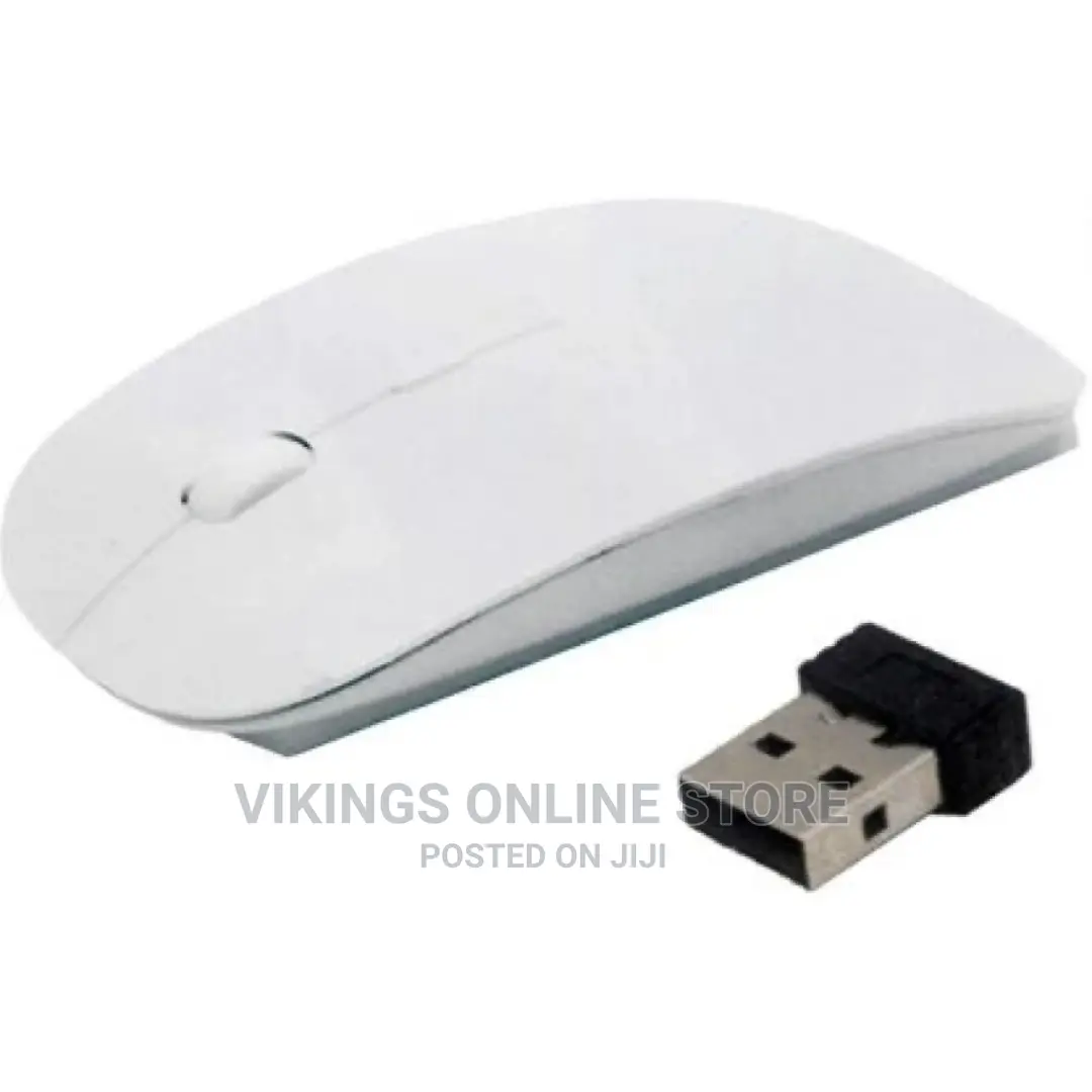 Wireless With USB Receiver Mouse –