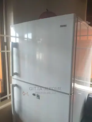 Fridge Mechanic / Technician 05