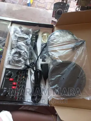 Condenser Microphone