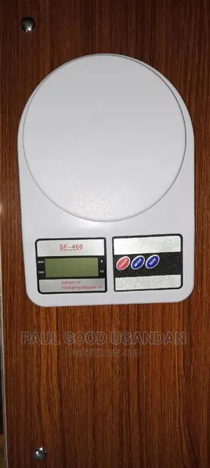 Portable Digital Weighing Scale 10kg