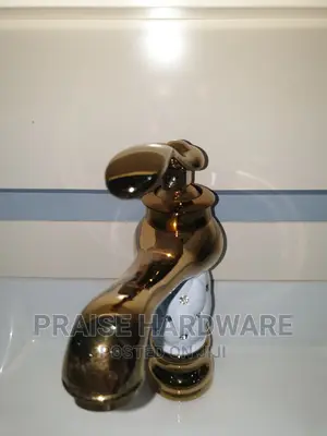 Basin Water Mixer