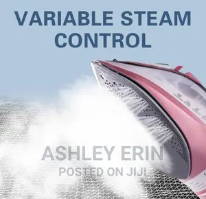 Electric Iron With Rechargeable Base