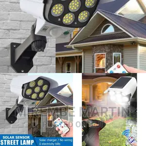 Solar Motion Sensor Light