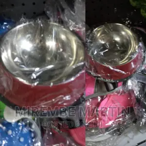Portable Pet Feeding Dish