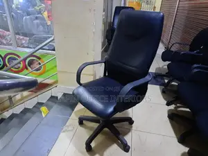 Office Long Back Chair