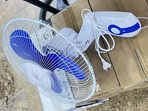 Unique Wall Fan