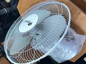 DP Light Ceiling Fan