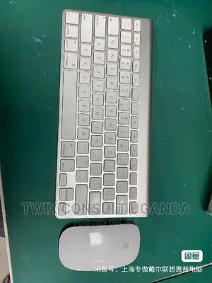 Apple Magic Mouse and Key Board Combo