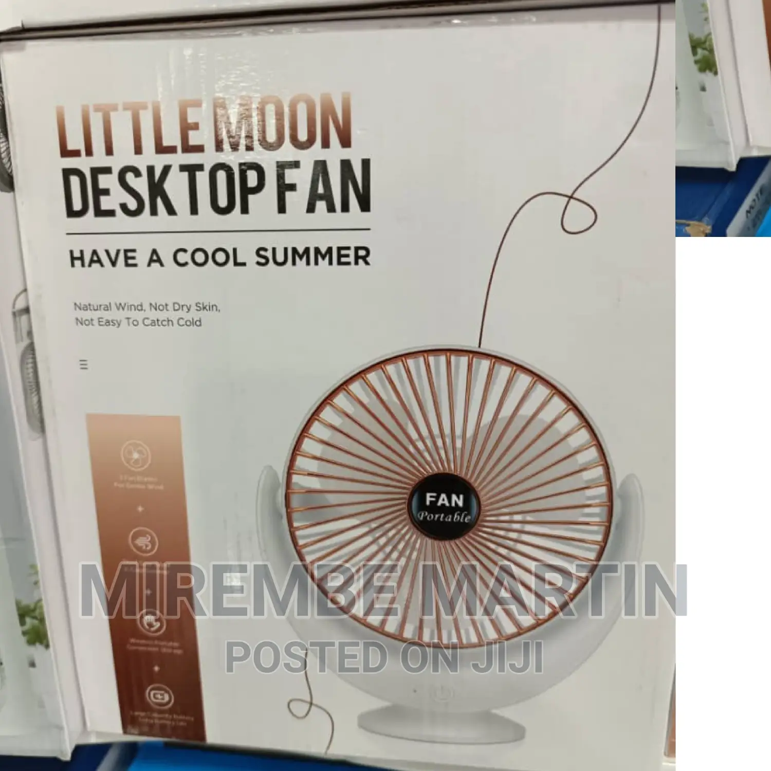 Portable Electric Desktop Fan