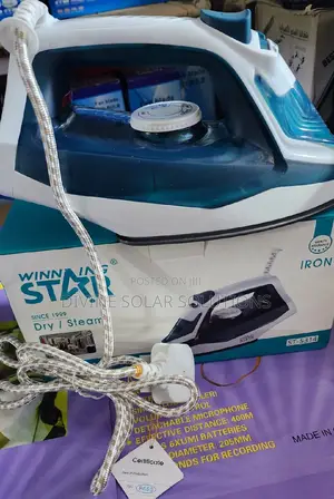 Winning Star Dry and Steam Iron
