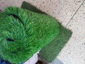 Grass Carpet (Artificial Grass Carpet)