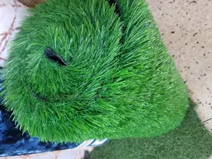 Grass Carpet (Artificial Grass Carpet)