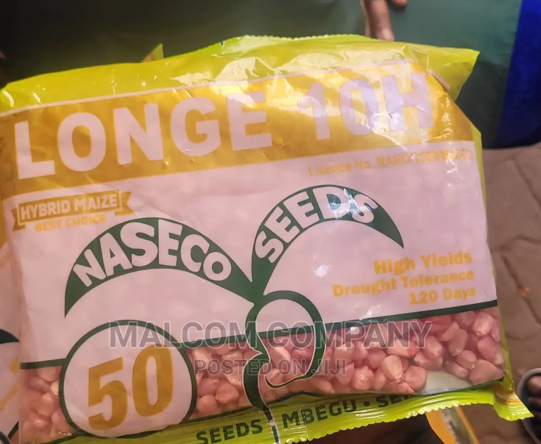 Longe 10H Maize Seeds (120days Maturity)
