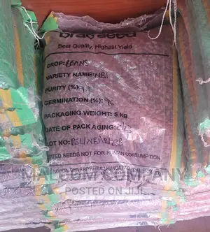 5kg Beans Seeds To Large Quantity
