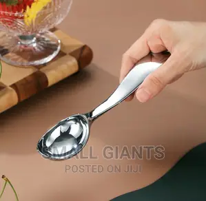 New Ice Cream Scoop