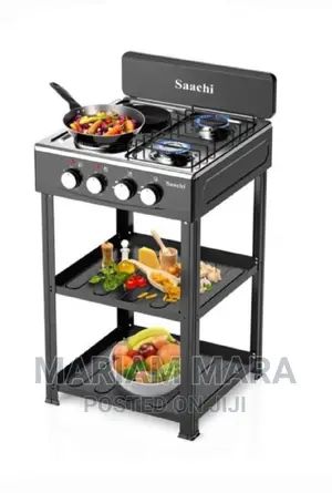 Electric And Gas Cooker