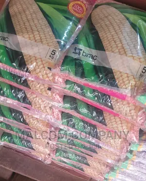 Maize And Bean Seeds Wholesalers