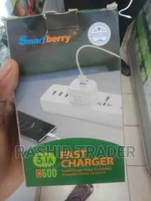 Smart Berry Fast Charger 3.1a