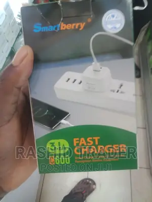 Smart Berry Fast Charger 3.1a