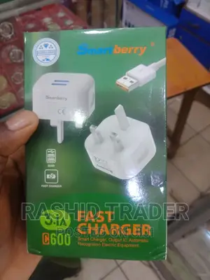 Samsung Travel Adapter