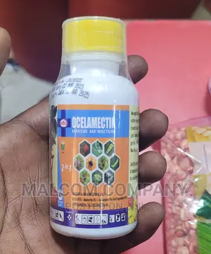 Bedbugs Insect Odorless Killer