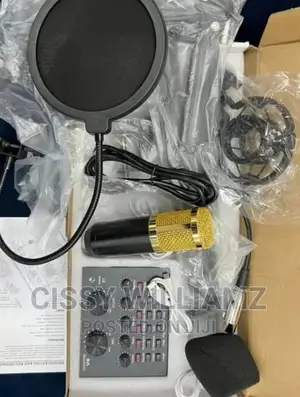 Condenser Microphone/Recording Microphone/Condenser Mic