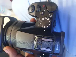 Lumix Fz2500