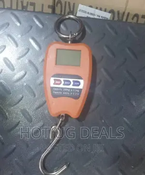 100kgs Crane Weighing Scale With Clear Digital Screen-Orange
