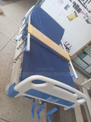Hospital Bed Tripple Crank
