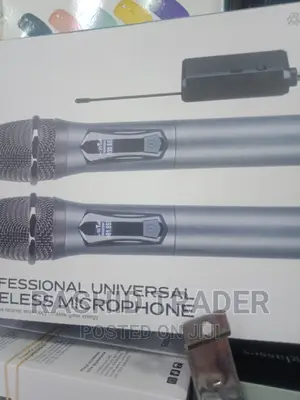 Professional Wireless Microphone