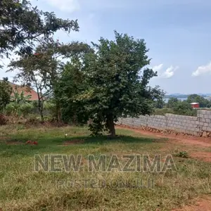 34 Decimals on Quicksale Inheart of Kawuku Ntebe Rd Lakeview